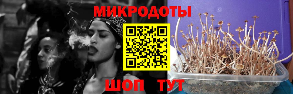 Галлюциногенные грибы ЛСД  Вход с VPN  Богородицк  Галлюциногенные грибы прущие грибы 